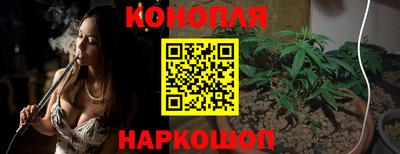 крисы Тулун