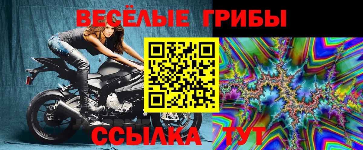 Галлюциногенные грибы прущие грибы Вольск