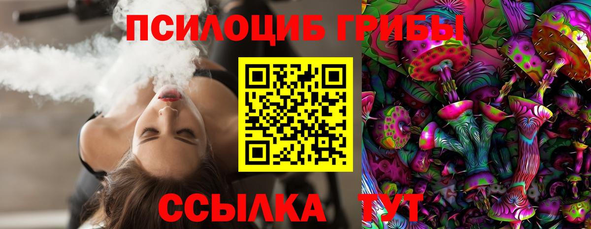 Псилоцибиновые грибы Psilocybine cubensis  купить наркотики сайты  Вольск  Вход с VPN 
